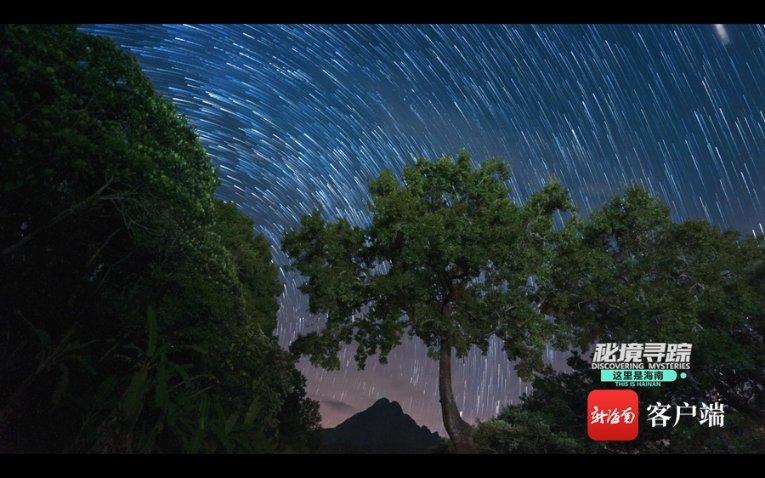 新倩女幽魂