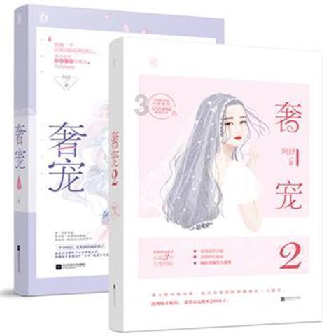 迷你汽车记忆卡